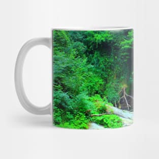 Long-exposure shot of Cascata dell'Antico Mulino in Sarnano Mug